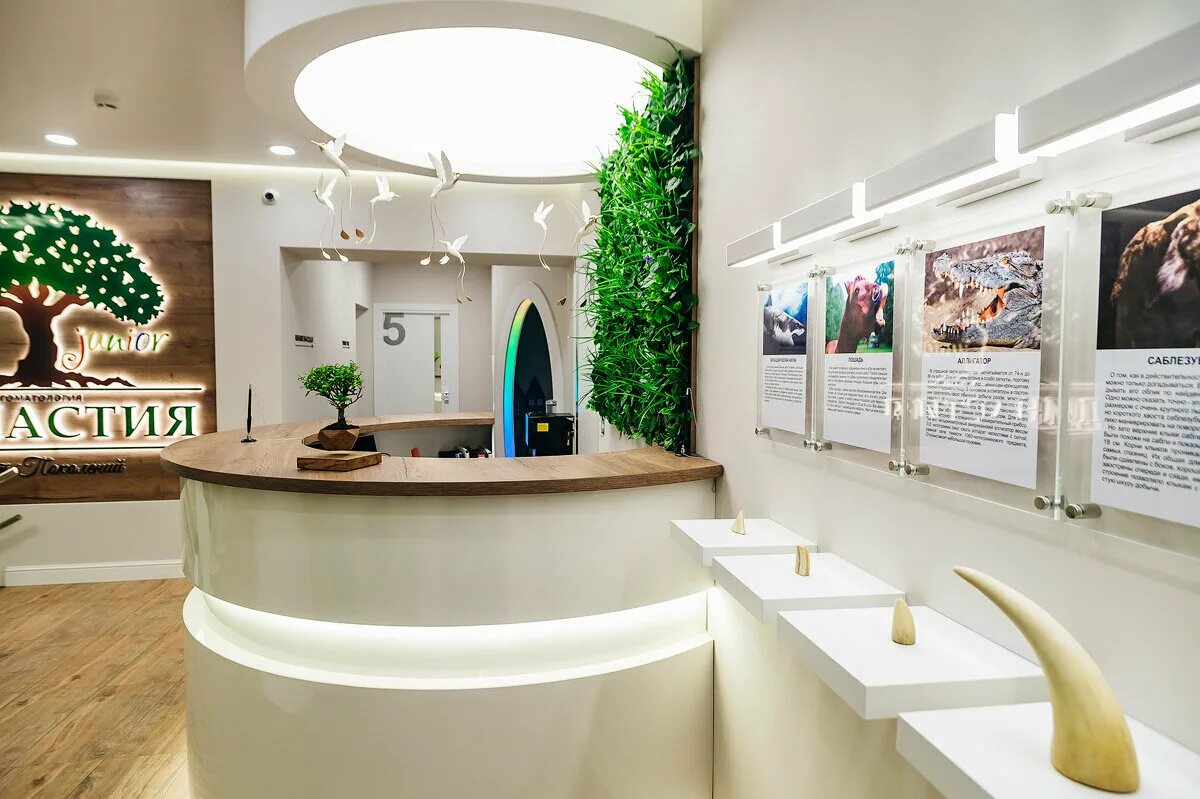 стоматология династия вологда. династия джуниор вологда комсомольская. династия джуниор вологда стоматология комсомольская. стоматология династия вологда некрасова. династия стоматология ханты-мансийск.