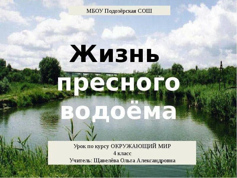 Жизнь в пресной воде. Проект жизнь в пресных Водах. Жизнь пресного водоема презентация. Пресные водоемы 4 класс окружающий мир. Окружающий мир жизнь пресных водах