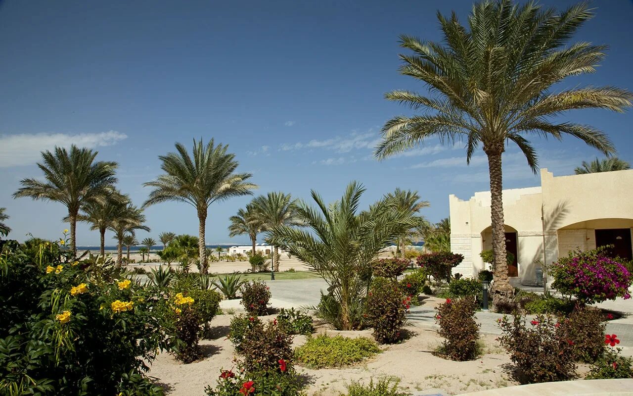 Coral beach rotana resort 4. Coral Beach Hotel Hurghada. Египет Хургада Корал Бич. Coral Beach Hotel Hurghada 4. Корал Бич Резорт Хургада.