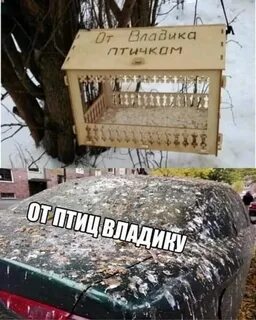 Надписи поржать