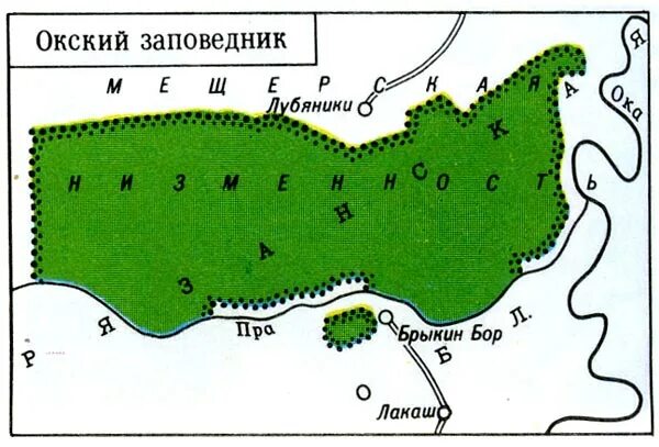 Окский заповедник где. Окский биосферный заповедник на карте. Окский государственный природный биосферный заповедник на карте. Окский заповедник карта заповедника. Границы Окского заповедника в Рязанской области.