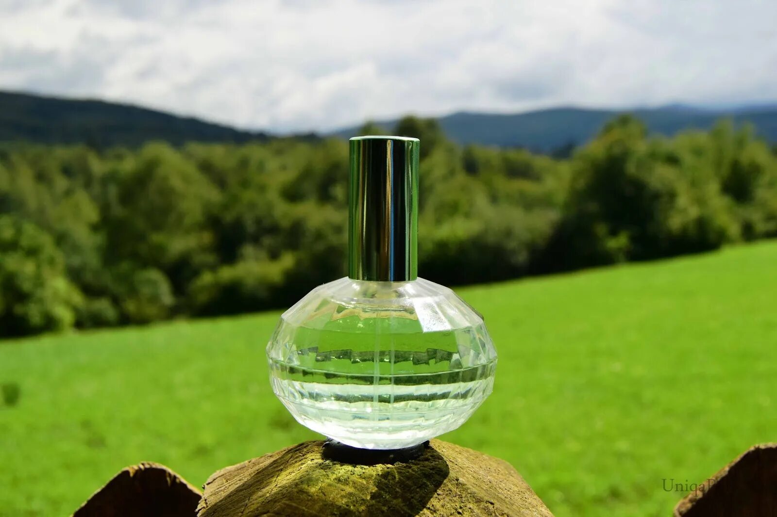 Меморис бесплатная. Memories Chasing Butterflies Орифлейм. Memories Oriflame Perfume. Memories Chasing Butterflies Oriflame. Духи Орифлейм Memories Chasing.