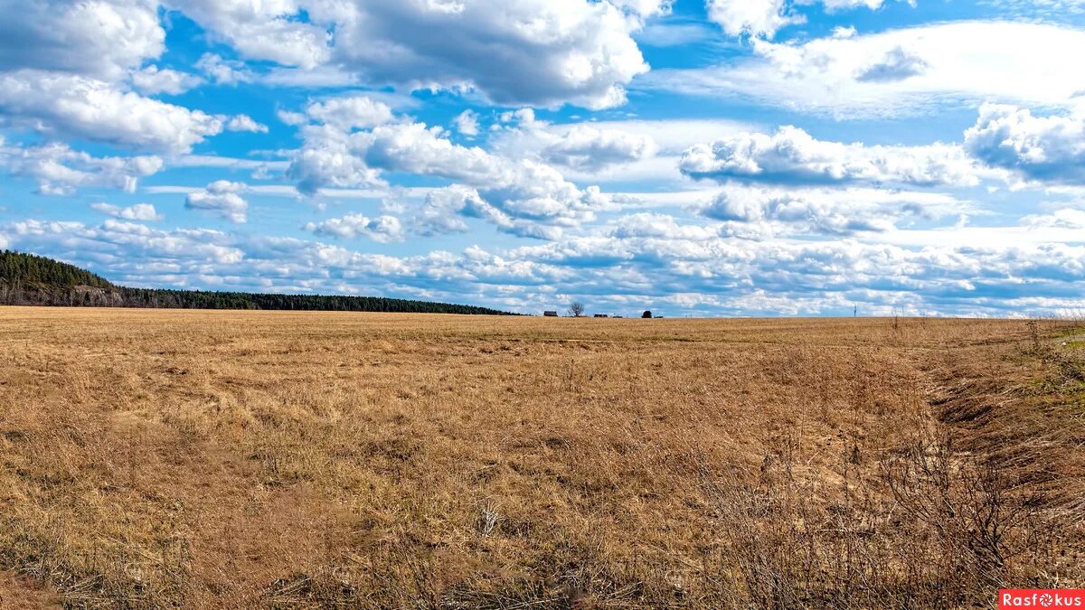 Поле урала. Поле урала. Форма земной поверхности башкортостана. Леса, степи, поля башкортостан. Уральская равнина.