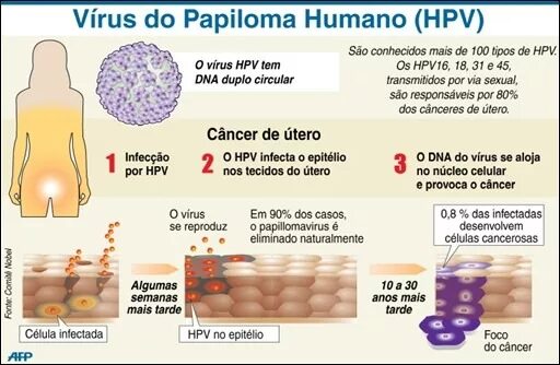 Papilloma virus. Cancer вирус.