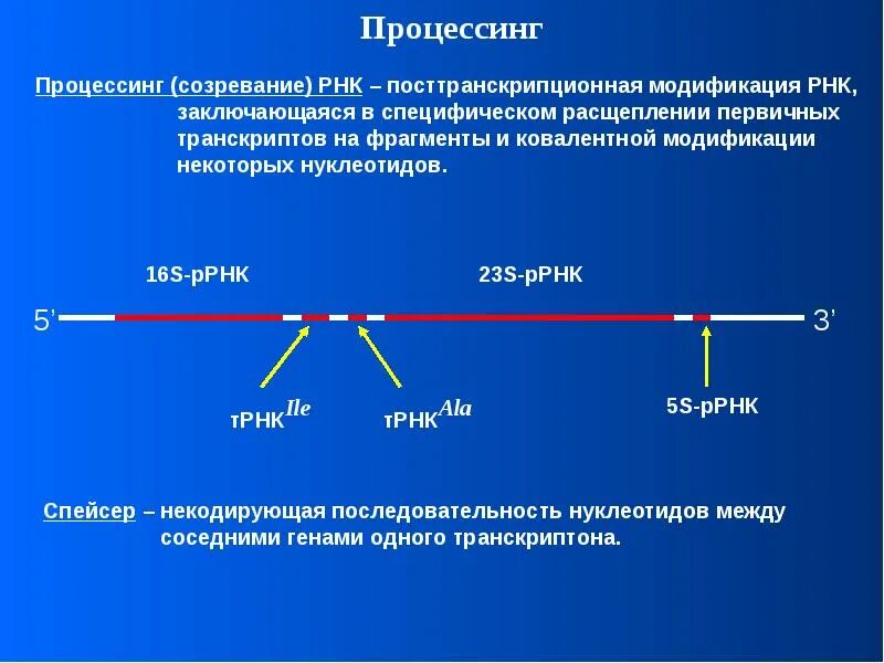 Осуществляются следующие