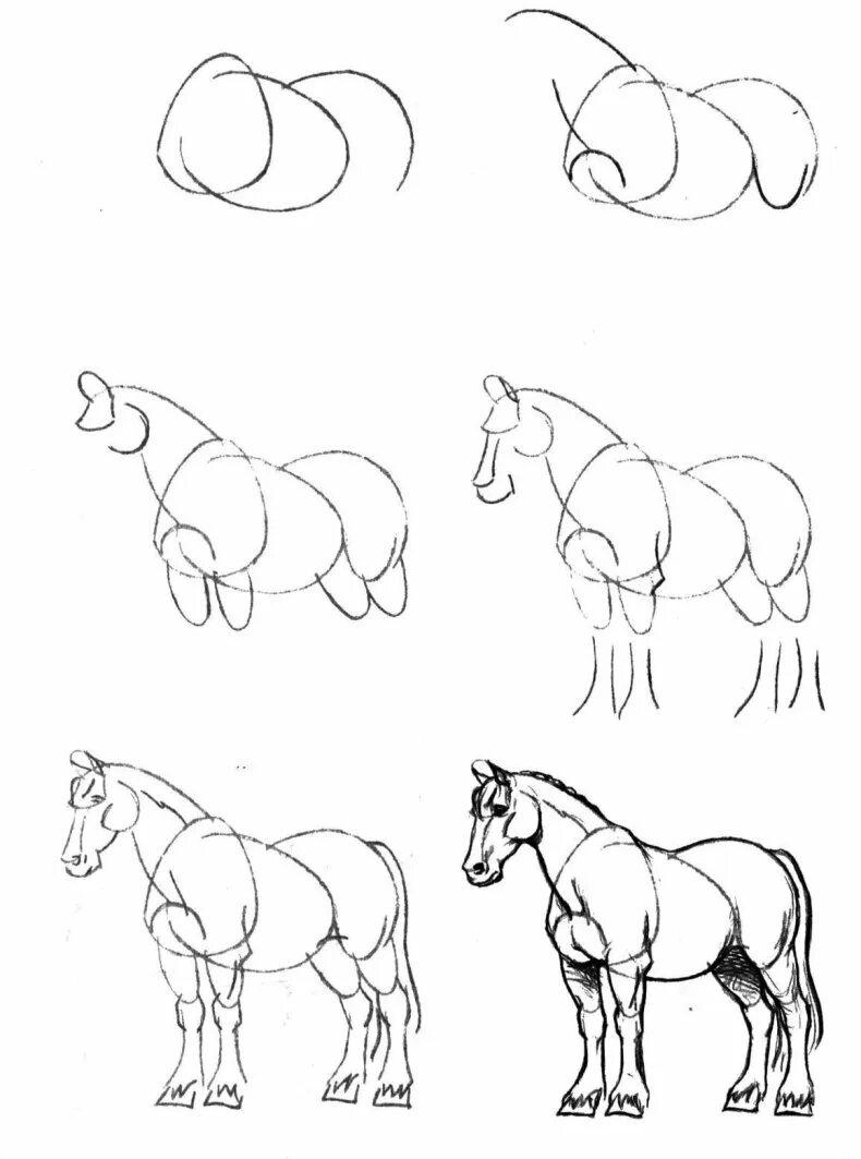 Лошадь карандашом. Поэтапное рисование лошади. Рисунки животных карандашом для начинающих. Рисунки лошади карандашом для начинающих.