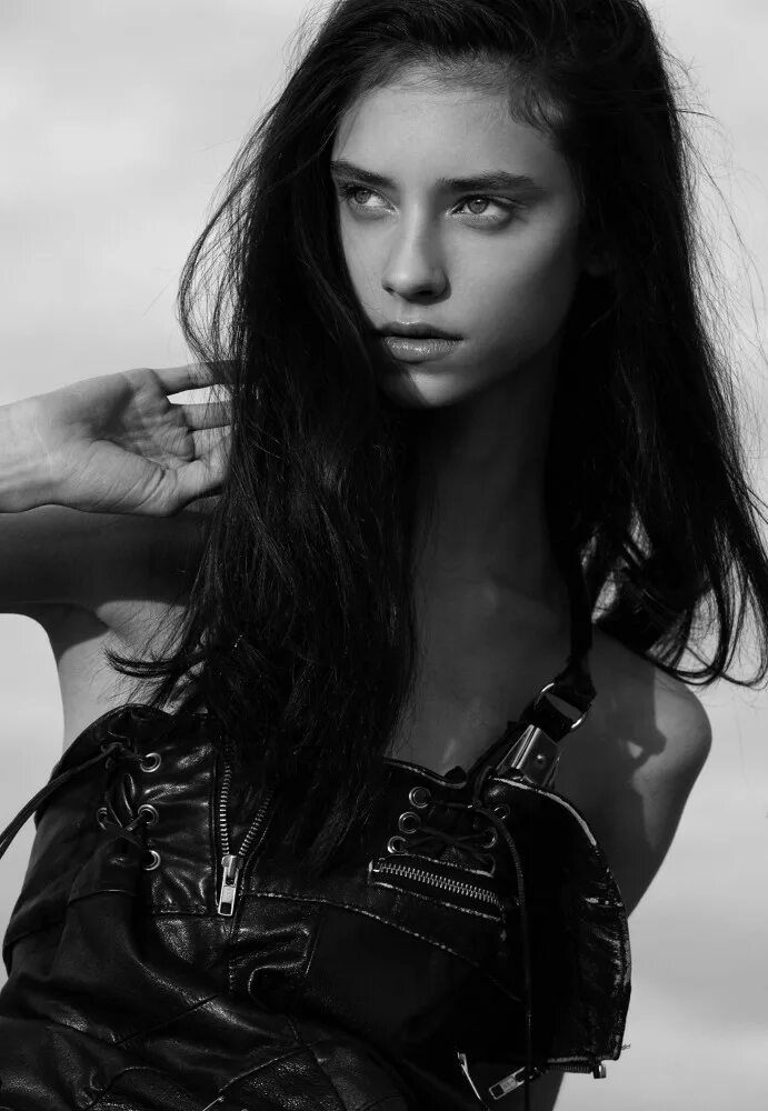 Sophia model