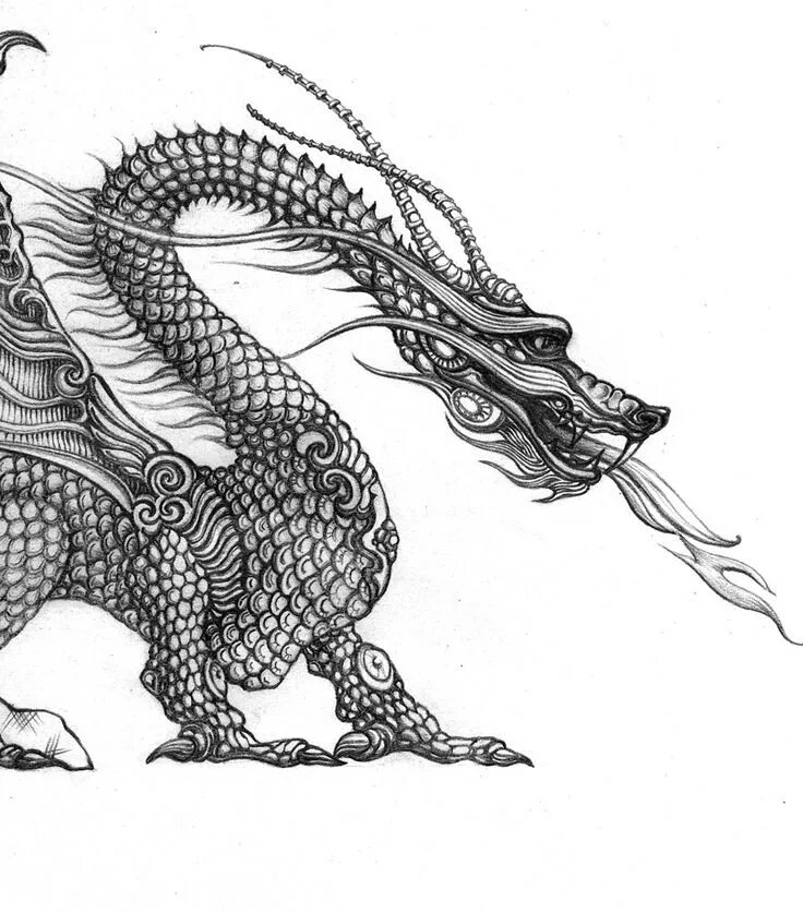 Dragon graphics