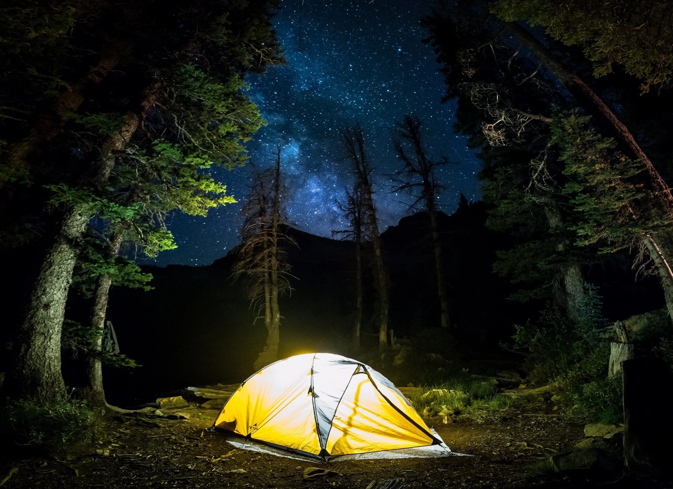 Camping light. Палатка в лесу. Палатка в лесу ночью. Туристическая палатка на природе. Поход с палатками.