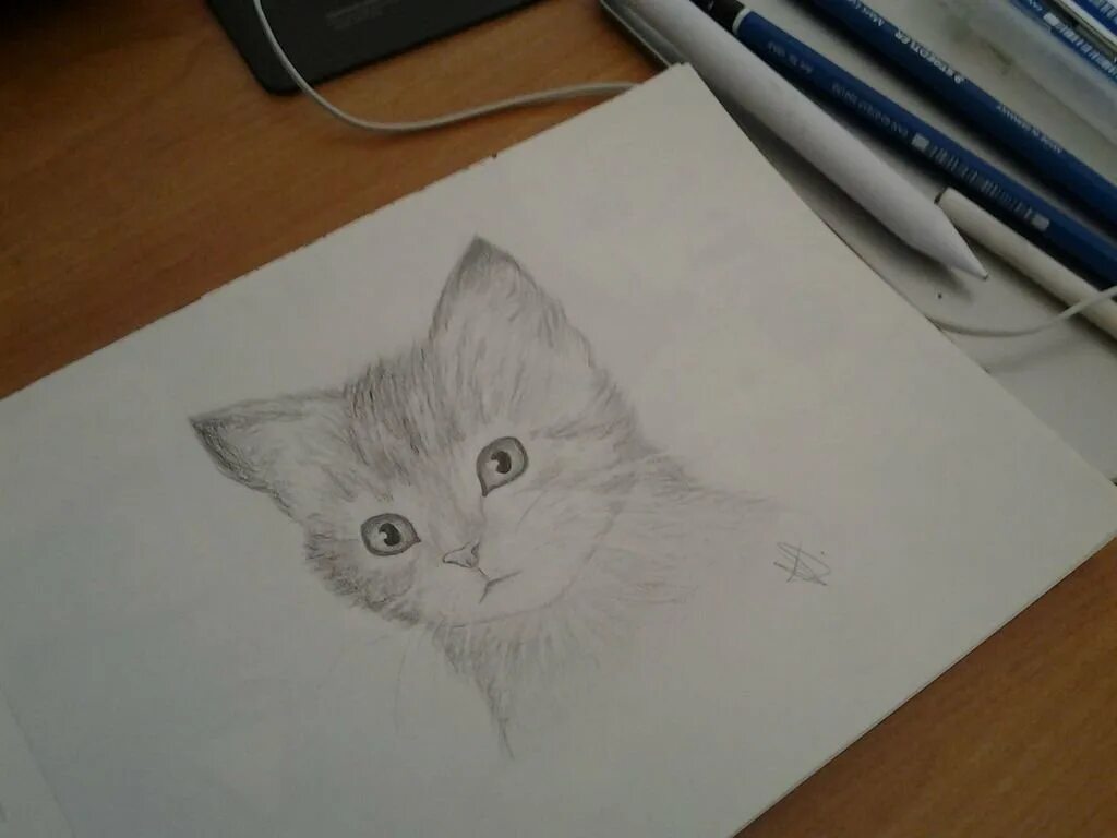 Фото которое можно рисовать. Рисунки котов карандашом. Коты для срисовки карандашом. Рисунки карандашом на свободную тему. Красивые рисунки на бумаге.