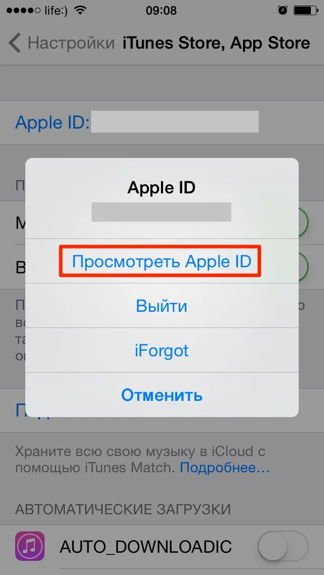 Как сменить id на айфоне. Что такое Apple ID на айфоне 6s. Что такое Apple ID на айфоне 5. Что такое Apple ID на айфоне и пароль. Apple ID на iphone 6.