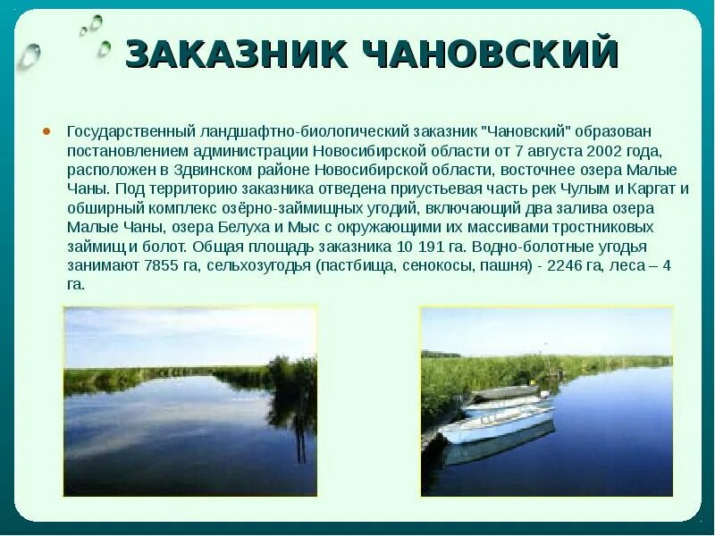 Водные богатства новосибирской области. Заказник Чановский Новосибирской области. Озеро малые Чаны Новосибирская область. Государственный ландшафтный биологический заказник Чановский. Чановский район заповедник заказник.