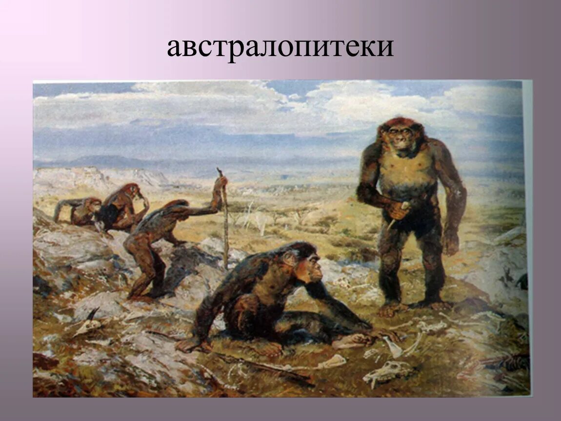 Люди 2 миллиона лет назад. Человек 2,6 млн. Лет назад назад. Человек 6 миллионов лет назад. Люди миллион лет назад.