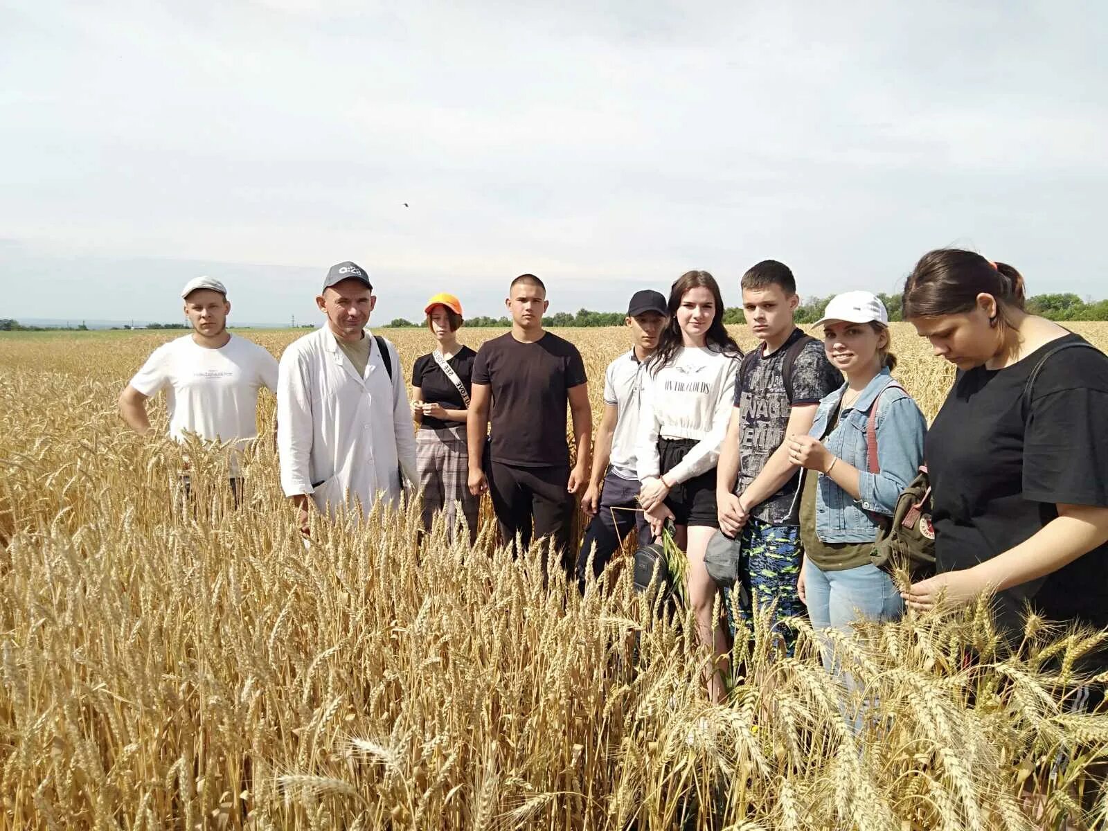 Поволжская социально. Поволжский НИИСС. Буракшаев агроном Поволжской НИИСС имени Константинова. Институт селекции и семеноводства.