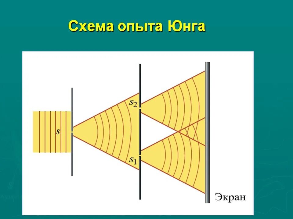 Точка юнга. Эксперимент Томаса Юнга интерференция света.