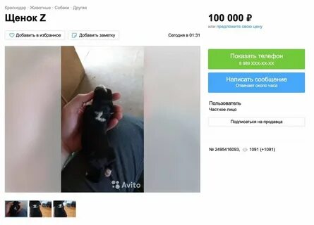 Когда можно будет продать dogs