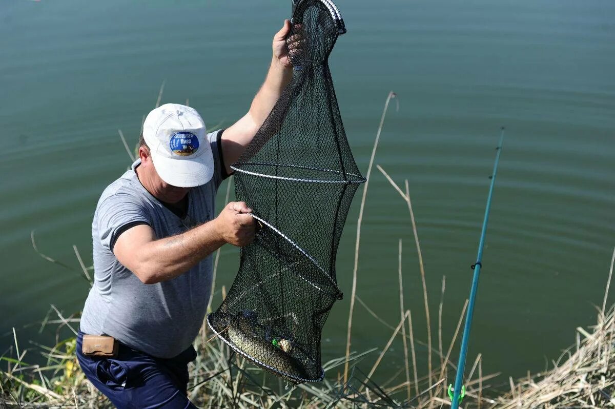 Законы ловли рыбы. Карповское водохранилище рыбалка. Сеть для рыбалки. Сеть для ловли рыбы. Сетка для ловли рыбы.