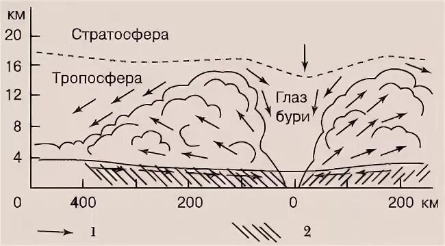 Схема тайфуна. Тайфун схема образования. Структура тайфуна схема. Строение тайфуна. Схема образования бури.