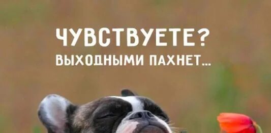 Чувствую выходные