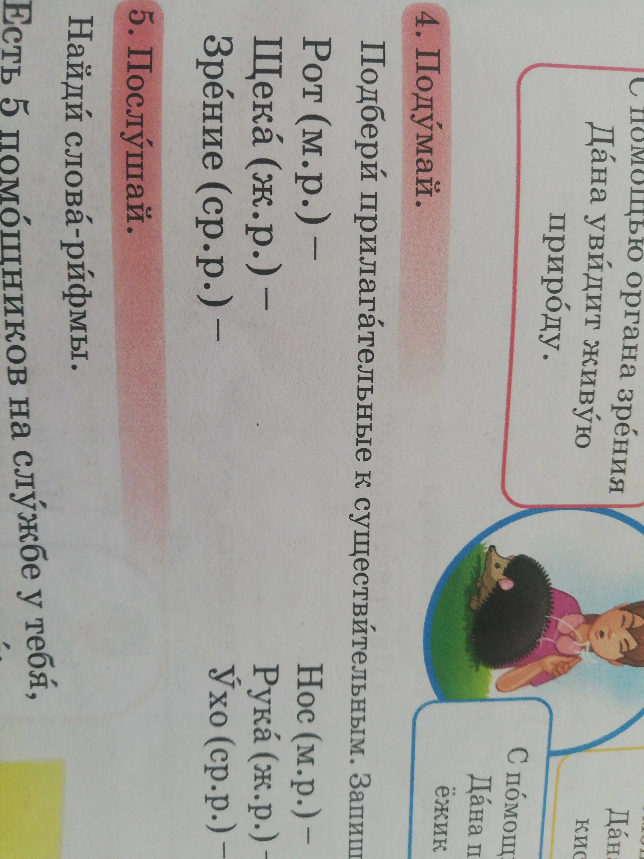 Число имен прилагательных. Имя прилагательное изменение по родам и числам. Измените число имен существительных запишите пары. Имя прилагательное изменение имен прилагательных по родам и числам. Мальцева интерактивная тетрадь по русскому языку для 2 класса.