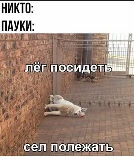 Посидеть это