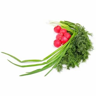 Редиска укроп