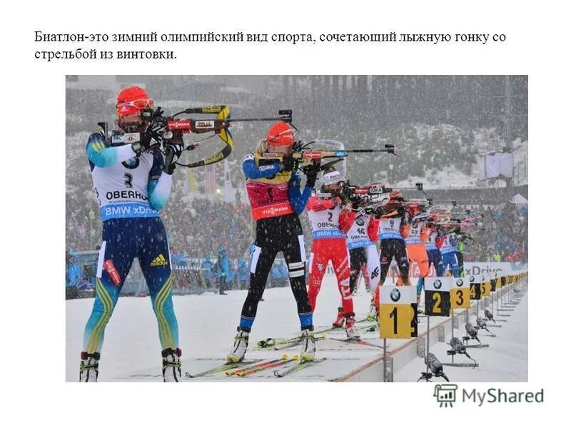 Гонки на лыжах со стрельбой. Зимние виды спорта презентация. Физика в биатлоне. К лыжным гонкам добавить стрельбу из винтовки. Биатлон зимний вид спорта сочетающий лыжную гонку со стрельбой.