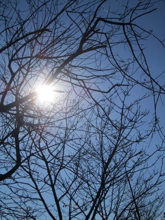 холодное солнце фото. солнечное сияние на байкале. холодное солнце вышел. холодное солнце вышел. холодное солнце.