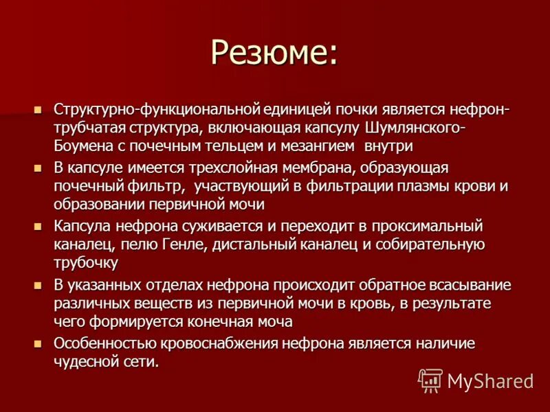 Структурной и функциональной единицей почки человека является. Структурной и функциональной единицей почки человека является