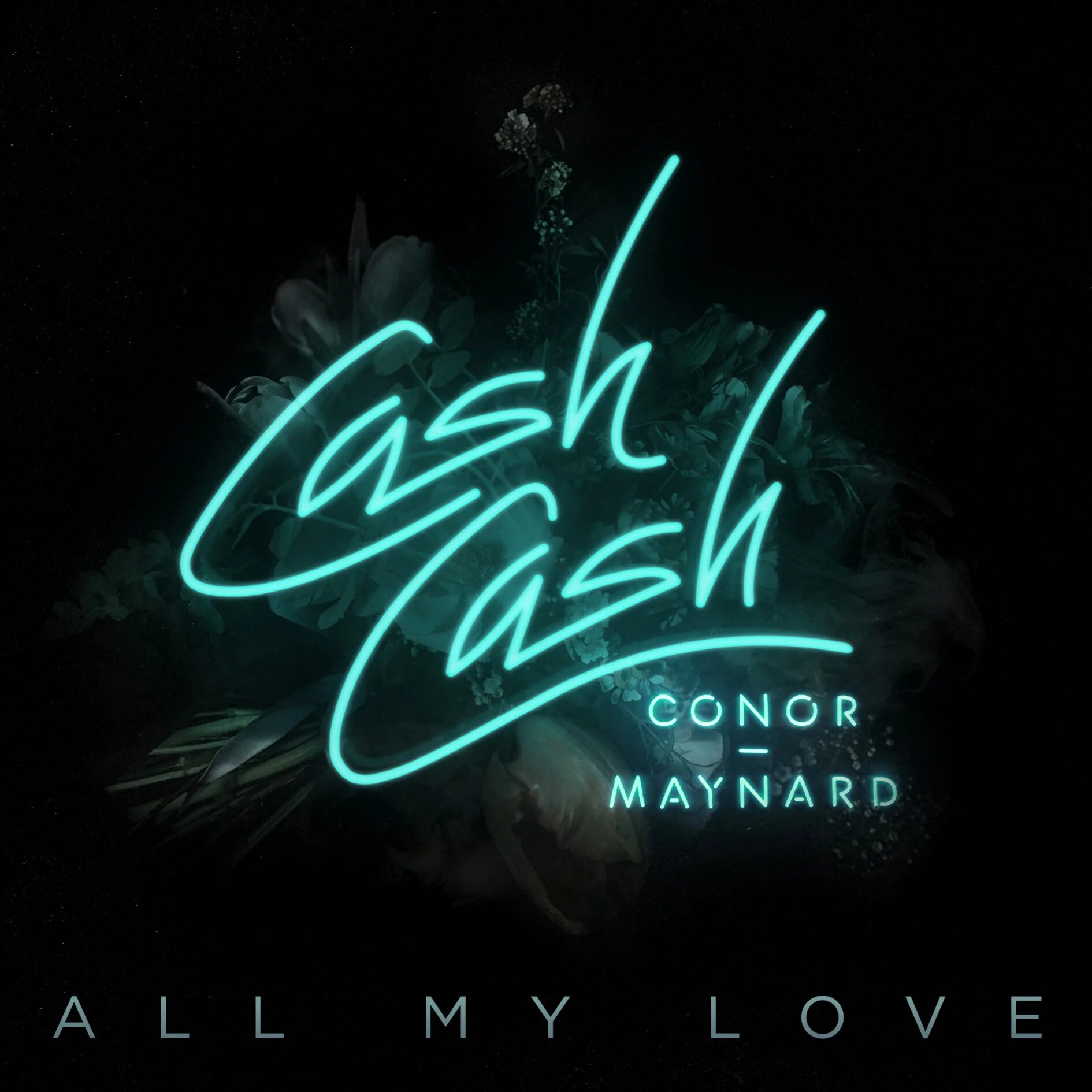 Conor Maynard 2021. Cash Cash. Love Cash. For the Night Conor Maynard обложка. Royalty remix