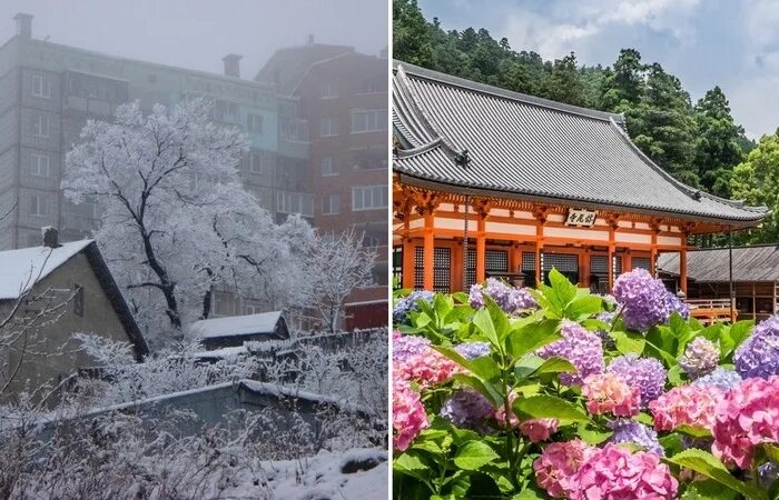 Саппоро Япония климат. Климат Японии времена года. Атмосфера Тогги Японии. Владивосток разница с Японией.