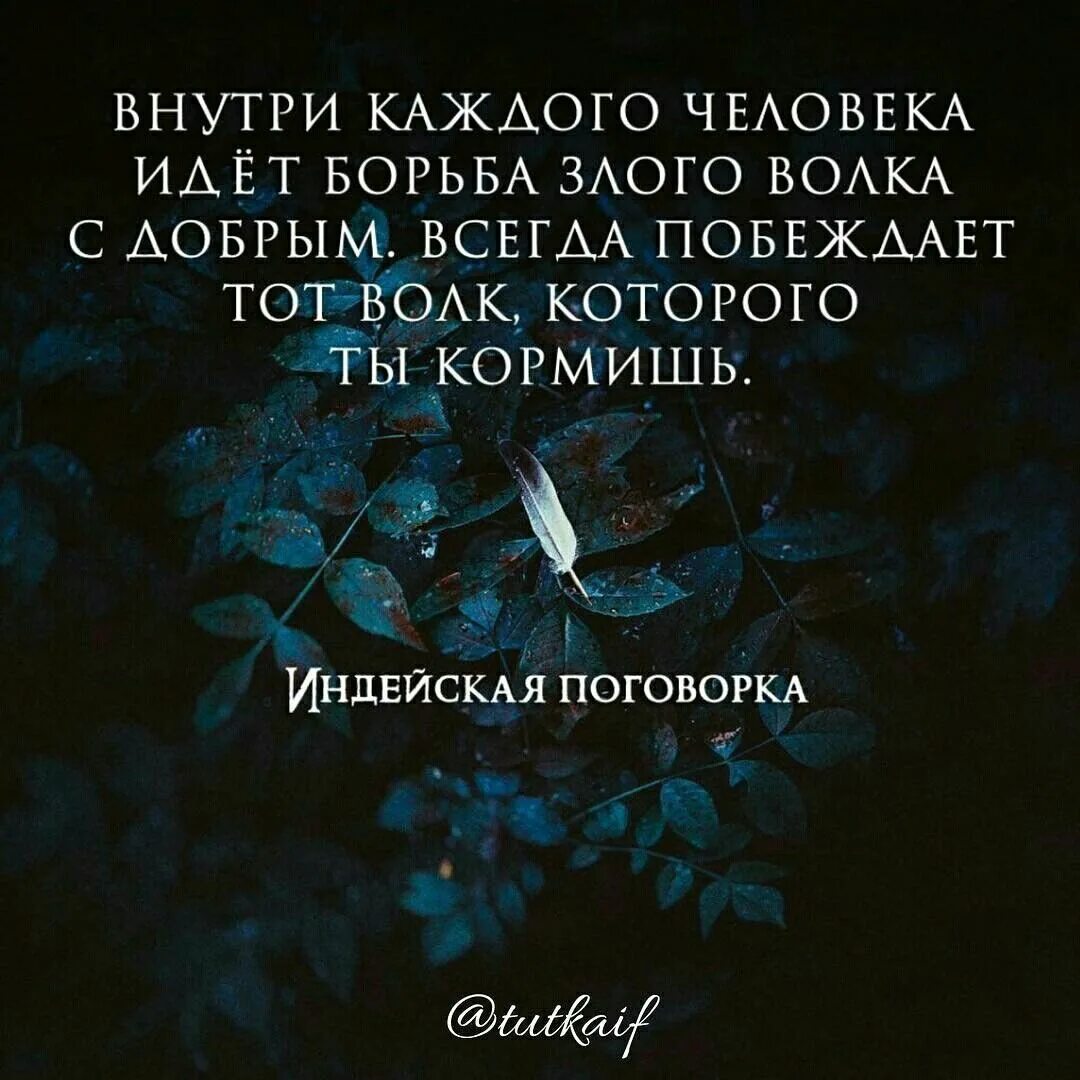 Цитата внутри цитаты. Злые цитаты. злые люди цитаты. злые цитаты со смыслом. внутри меня цитаты.