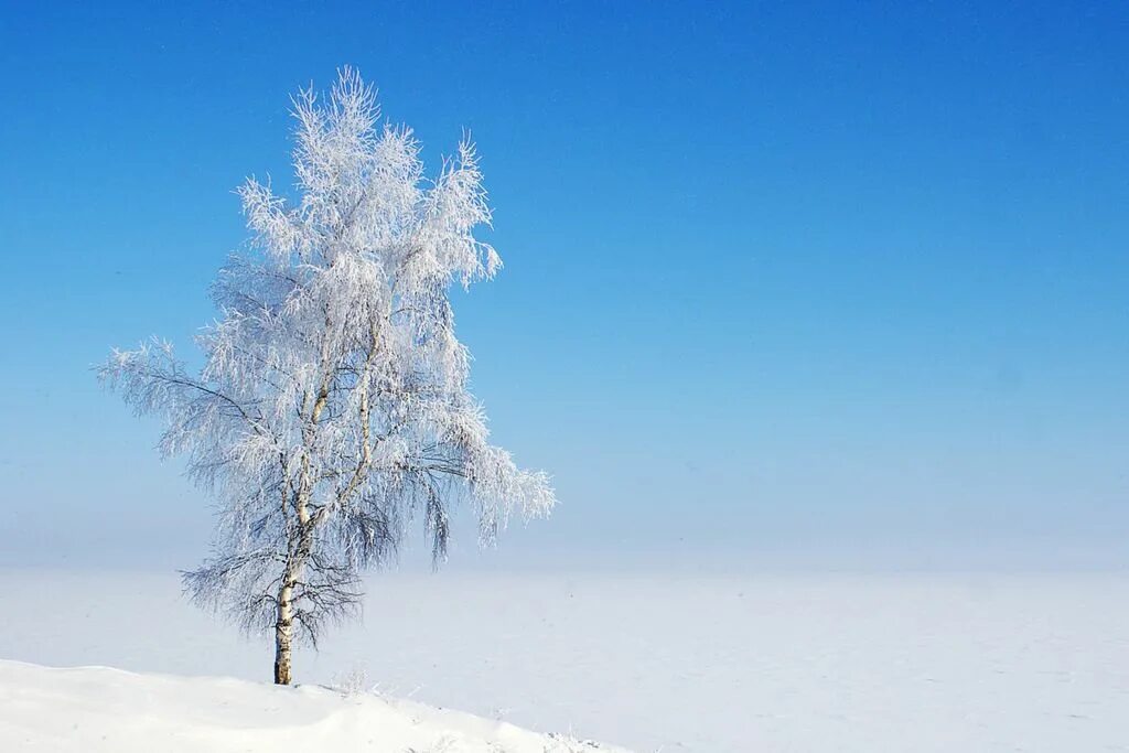Зимний день воздух. Ясный морозный день. Ясный зимний день. Ясный день зимой. Ясное небо зимой.