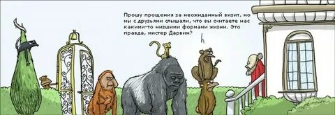 Неожиданный визит