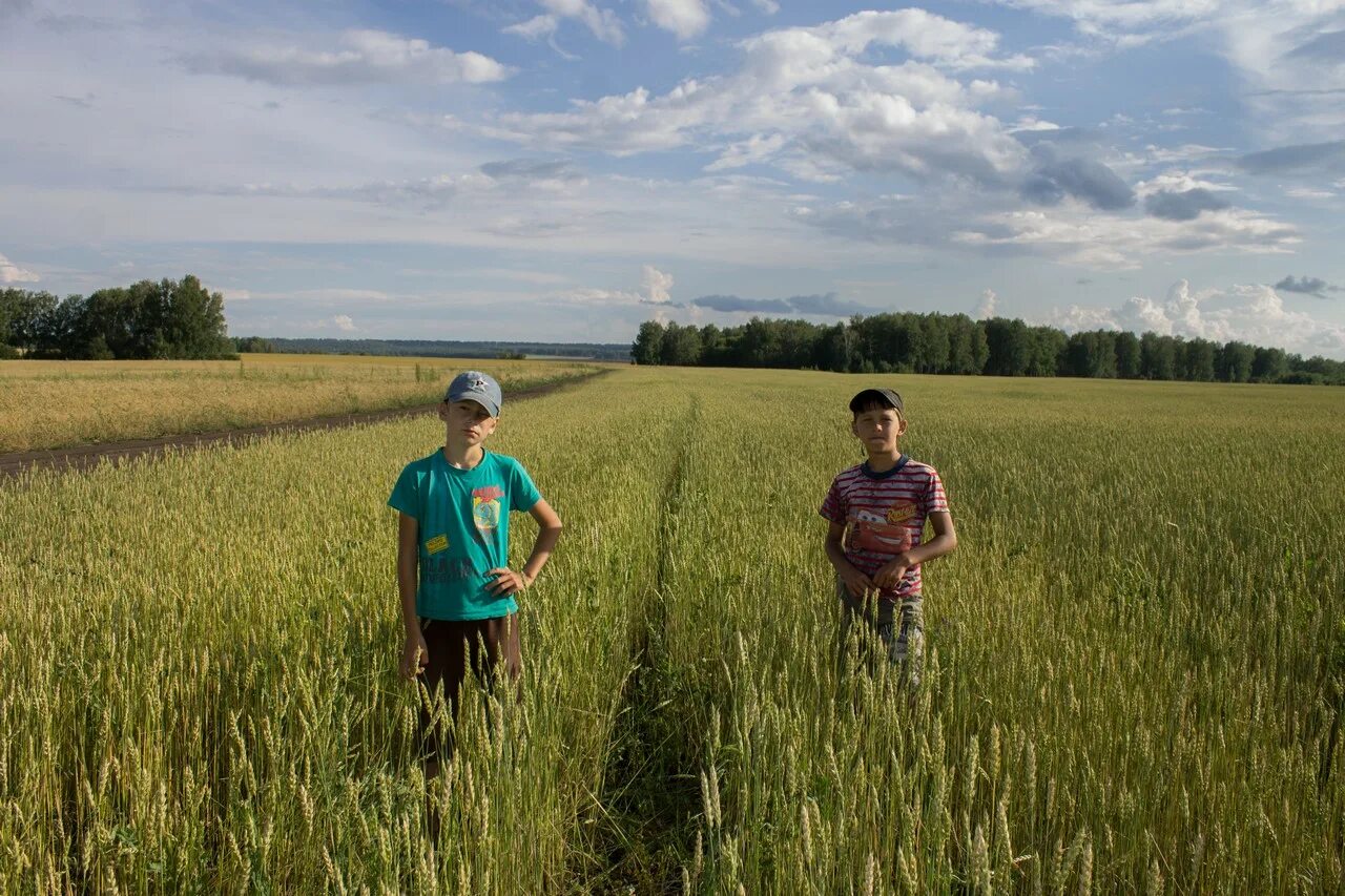 Плотниково косихинский район. Новозырянка Алтайский край. Село Плотниково Алтайский край Косихинский район. Каркавино Косихинский район. Деревня Косиха Алтайский край.