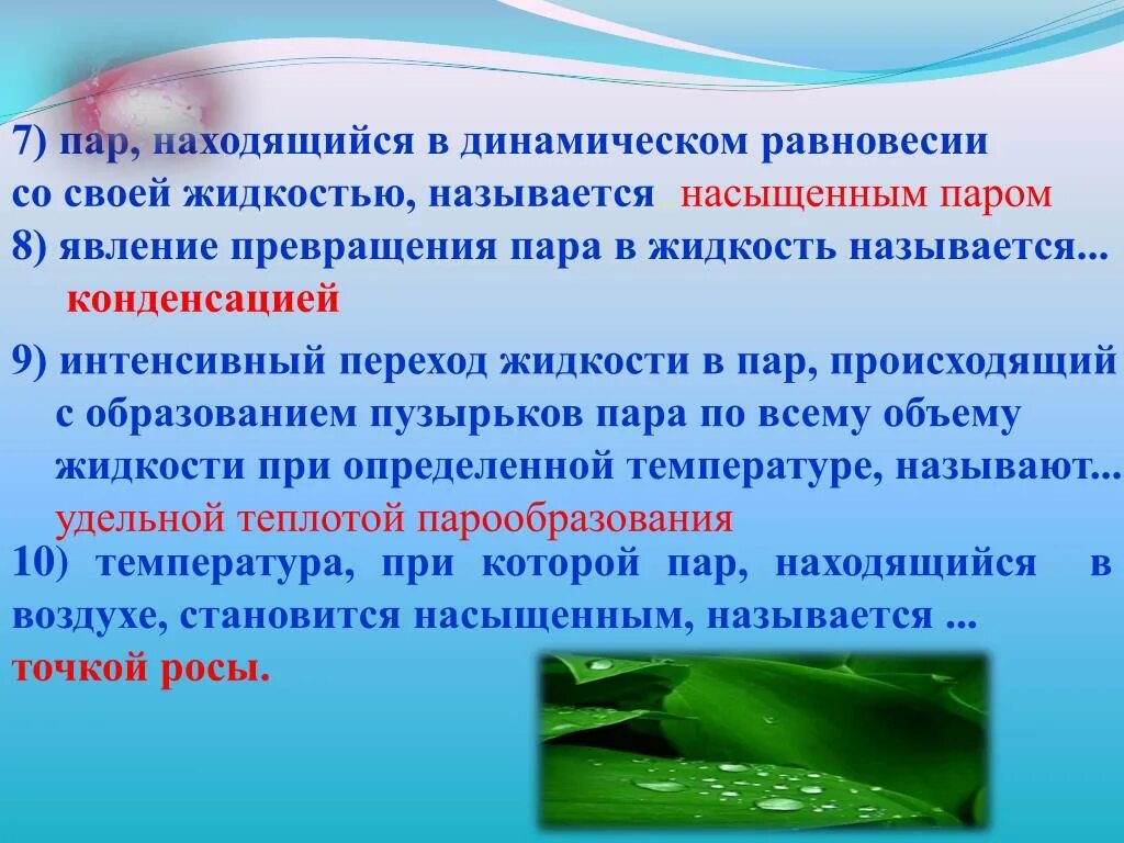 Динамическое равновесие со своей жидкостью. Пар находящийся в динамическом равновесии. Пар в динамическом равновесии. Пар, находящийся в динамическом равновесии с жидкостью. Пар в динамическом равновесии со своей жидкостью.