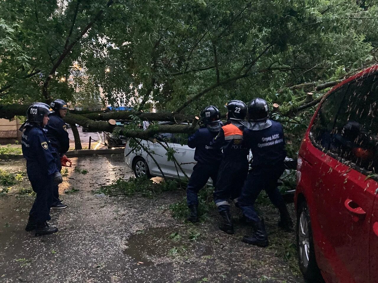 Тревога в орле сегодня. Спасатели Липецкой области. В Орле упало дерево.