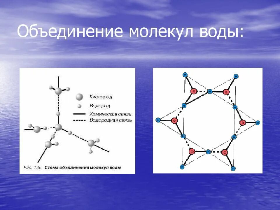 Структура молекулы воды. Молекула воды схема. Строение молекулы. Строение молекулы воды. Молекула воды и льда