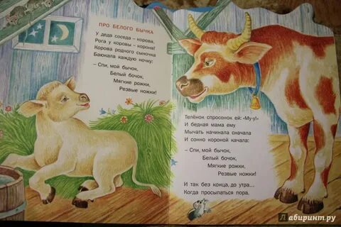 Автор бычка