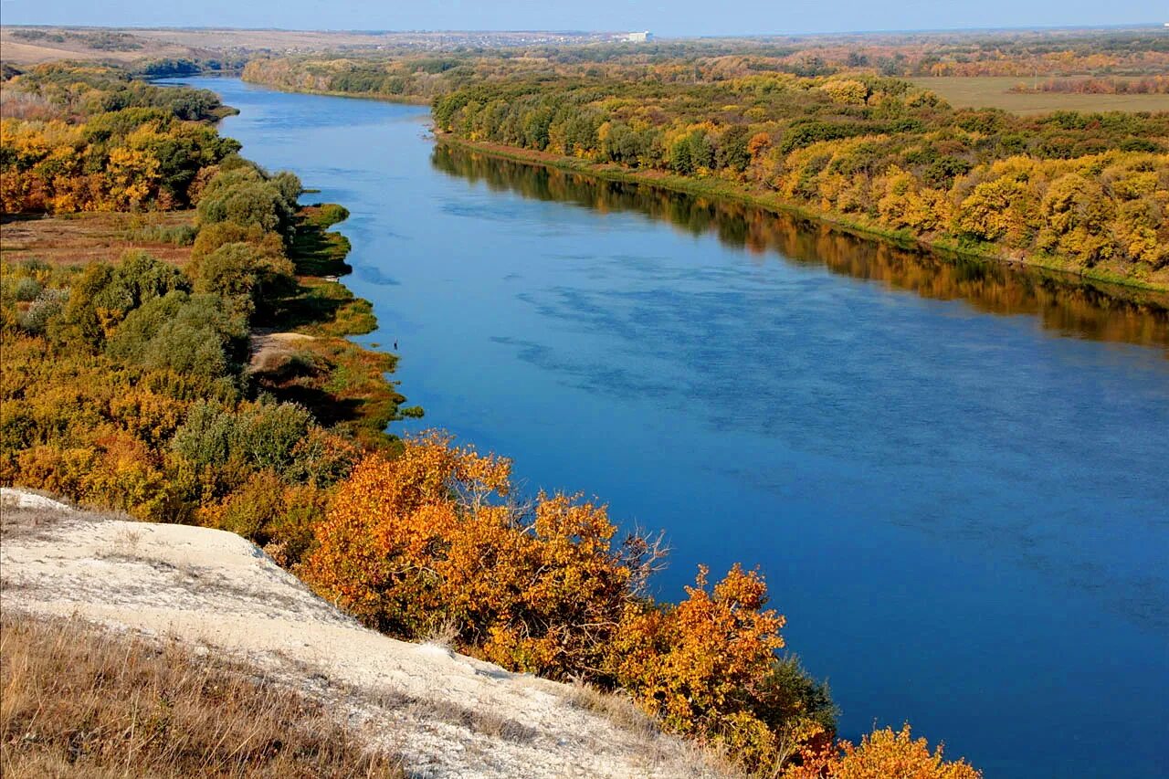Протока (рукав кубани). Река дон волгоградская область серафимовичский район. Хутора хутор река. Река дон волгодонск. Река дон хутор калининский.