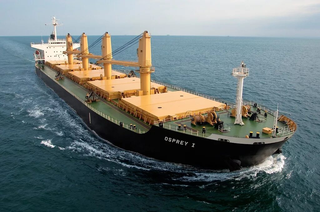 Ultramax bulk carrier. Балкер polsteam. Bulk carrier судно. Драй карго судно. Dry bulk panamax.