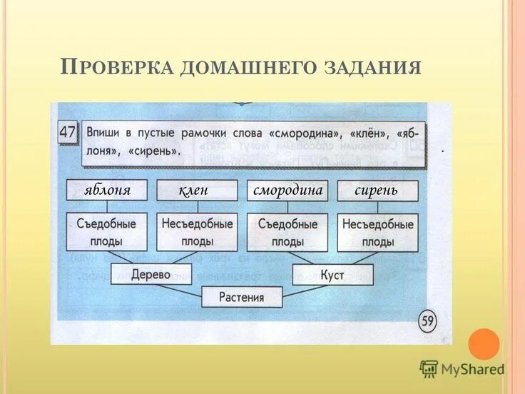 Информатика 6 класс работа 9. Информатика 6 класс. информатика 6 класс рабочая тетрадь. впиши в пустые рамочки слова. автомобили проект по информатике 6 класс.