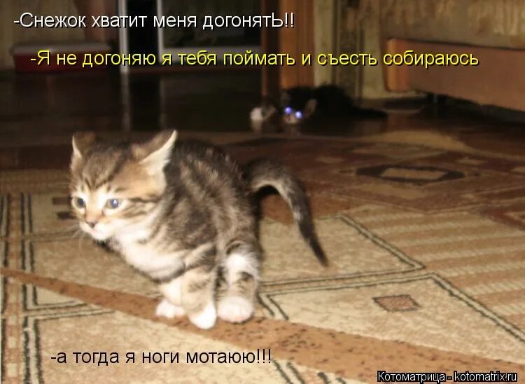 Тогда я довольна