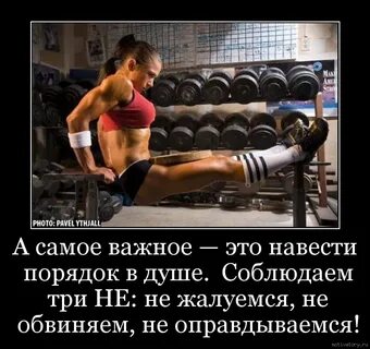 Порядок побеждает