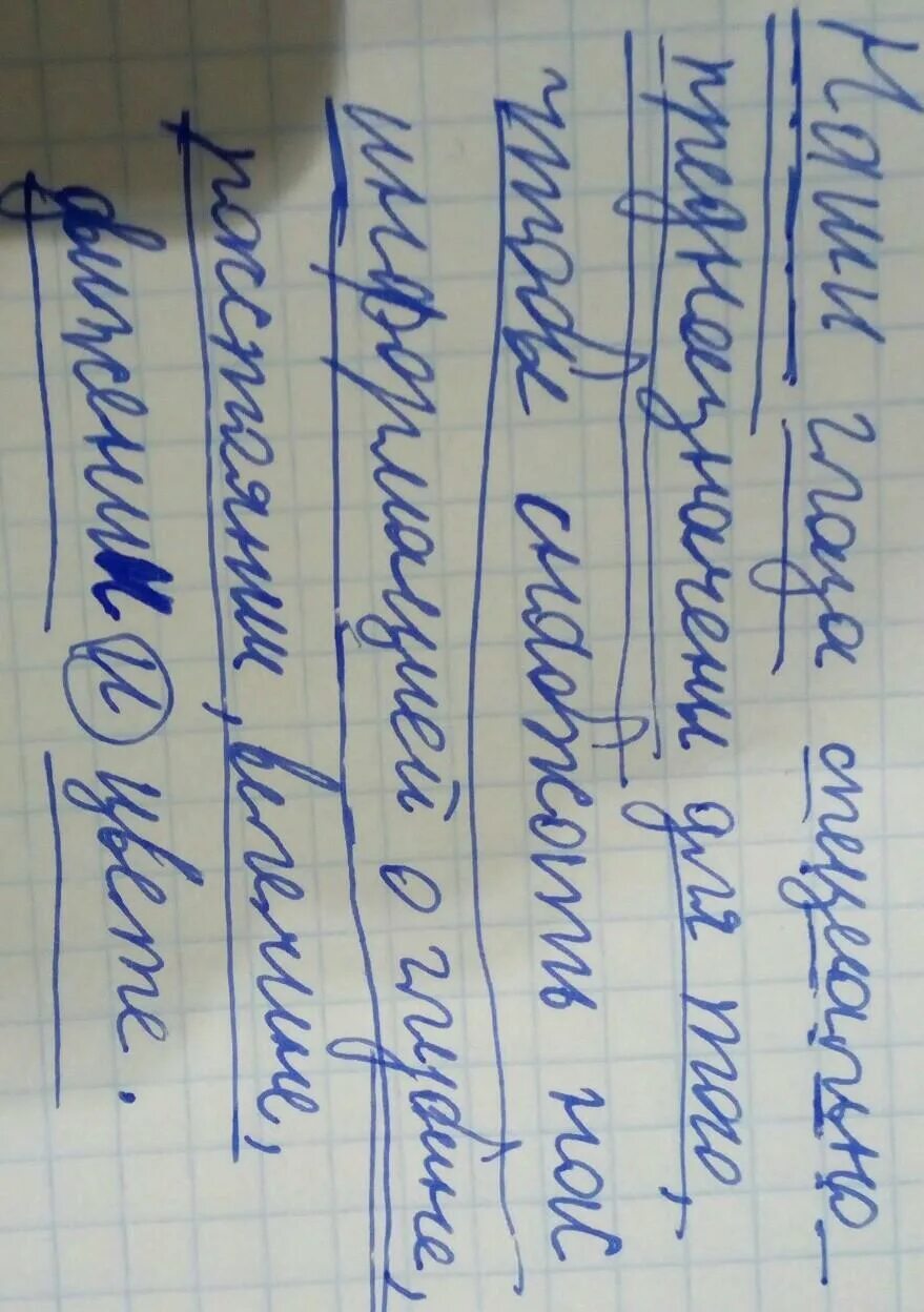 Наши глаза специально предназначены для того чтобы. Наши глаза специально предназначены для того чтобы снабжать.