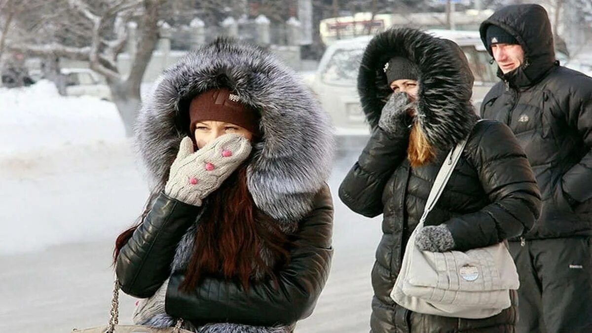 Нападение холодно. Люди зимой. Сильный Мороз на улице. Люди в зимней одежде. Человек на морозе.