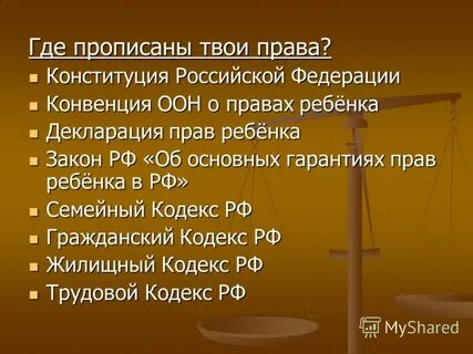 Где прописаны правила