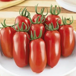 Сливка королевская