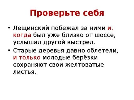 Старые деревья давно облетели