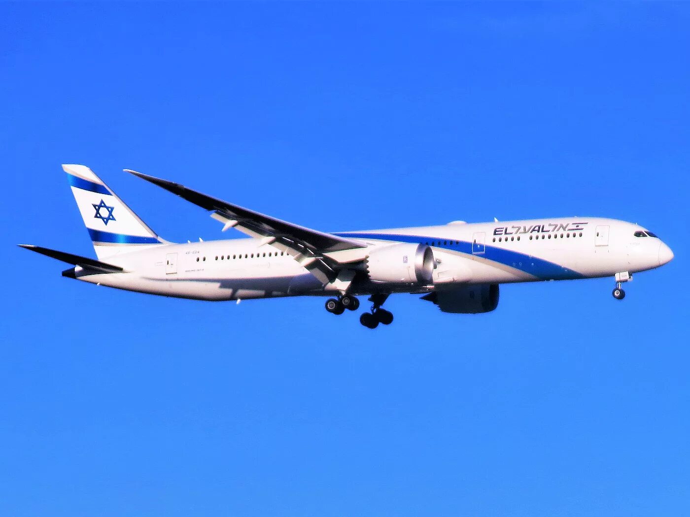 El al Israel Airlines Boeing 787. Boeing 787-800. Боинг 787 авиакомпании Israel. El al Israel Airlines Boeing 777-200 / 200er. Эль аль отзывы